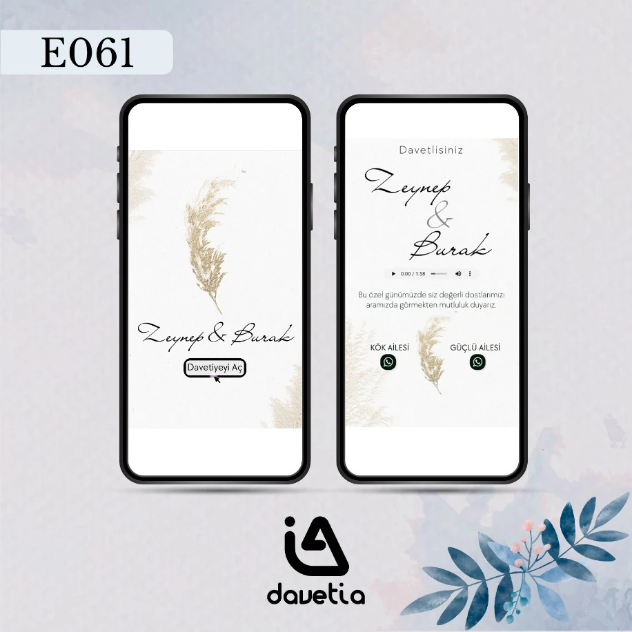 E061